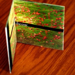 terra_cd_case_01